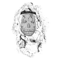 Arab Skull (on lights)